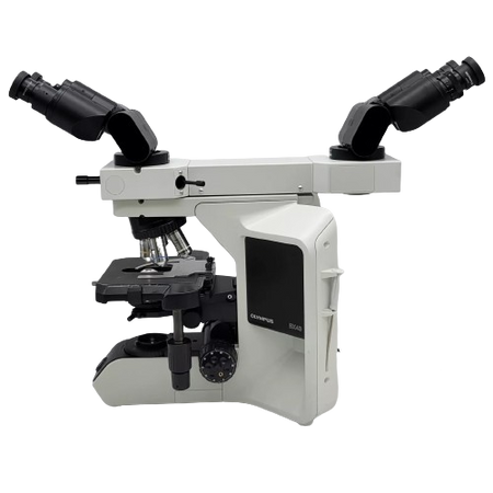 Olympus BX43 microscope