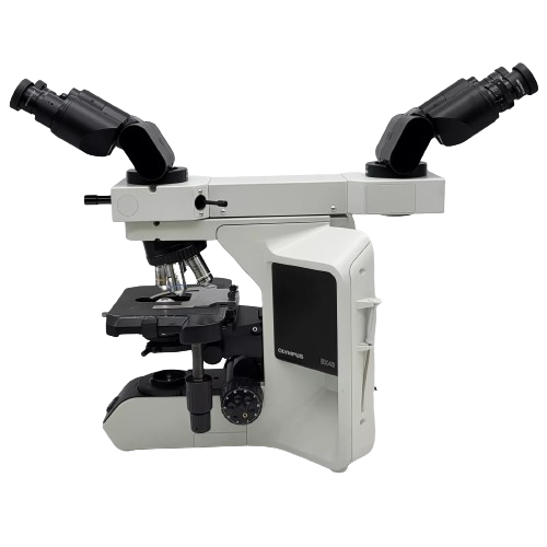 Olympus BX43 microscope