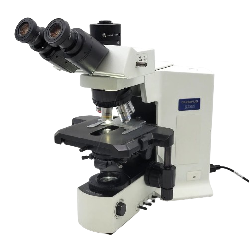 Olympus BX51 | Microscope – BSCBulbs.com