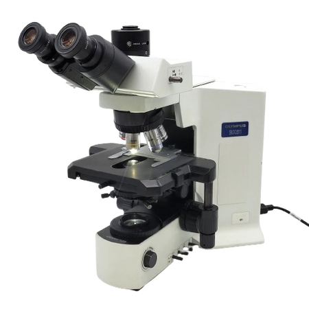 Olympus BX51 microscope