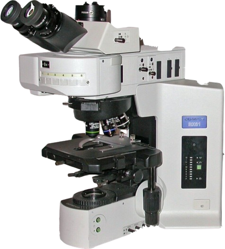 olympus bx61 microscope