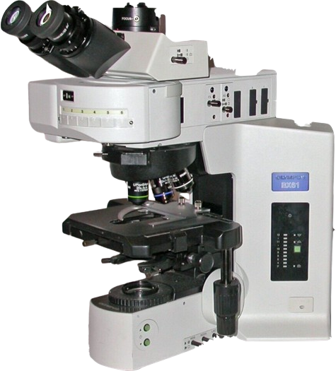 olympus bx61 microscope