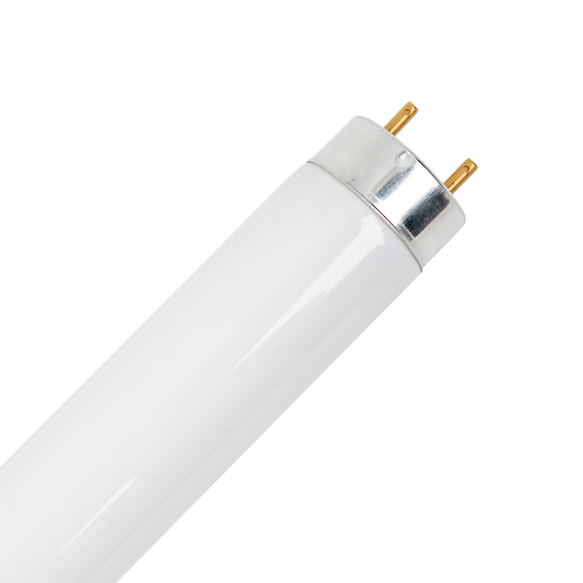 Baker SG503-HE fluorescent light bulb replacement f32t8